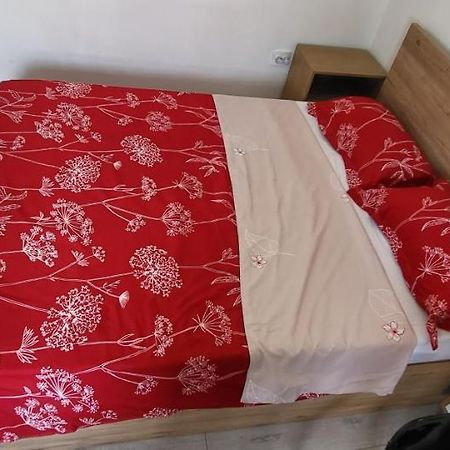 Self Check-In Studio 22 Bulevardul Oltenia Craiova Dış mekan fotoğraf
